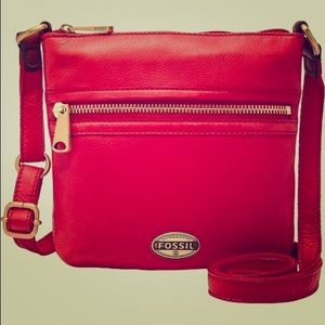 Fossil Explorer purse